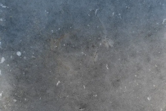 Casino Coins Game Support